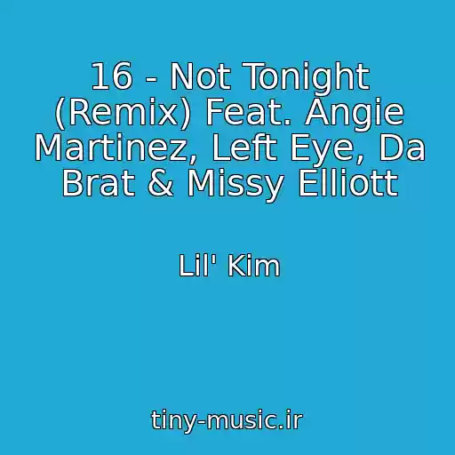 کاور آهنگ 16 - Not Tonight (Remix) Feat. Angie Martinez, Left Eye, Da Brat & Missy Elliott از Lil' Kim