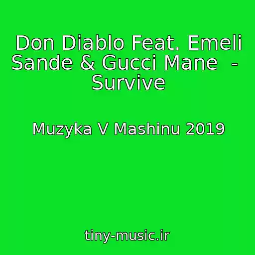 کاور آهنگ Don Diablo Feat. Emeli Sande & Gucci Mane  -  Survive از Muzyka V Mashinu 2019