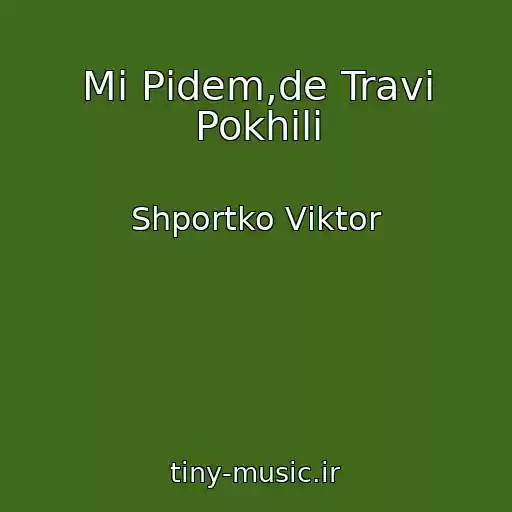 کاور آهنگ Mi Pіdem,de Travi Pokhilі از Shportko Vіktor