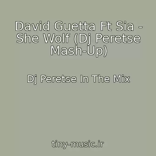 کاور آهنگ David Guetta Ft Sia - She Wolf (Dj Peretse Mash-Up) از Dj Peretse In The Mix