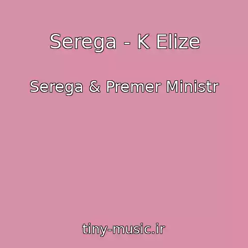 کاور آهنگ Serega - K Elize از Serega & Premer Ministr