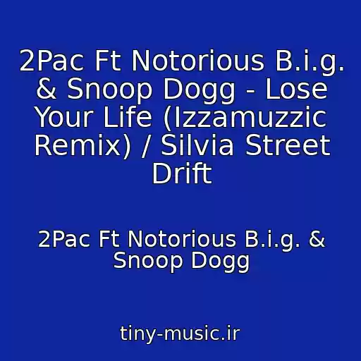 کاور آهنگ 2Pac Ft Notorious B.i.g. & Snoop Dogg - Lose Your Life (Izzamuzzic Remix) / Silvia Street Drift از 2Pac Ft Notorious B.i.g. & Snoop Dogg