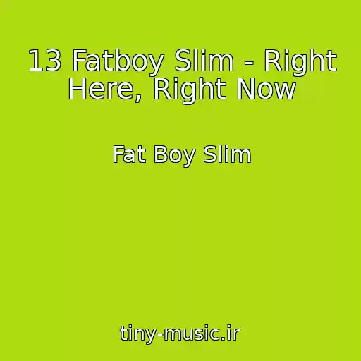 کاور آهنگ 13 Fatboy Slim - Right Here, Right Now از Fat Boy Slim