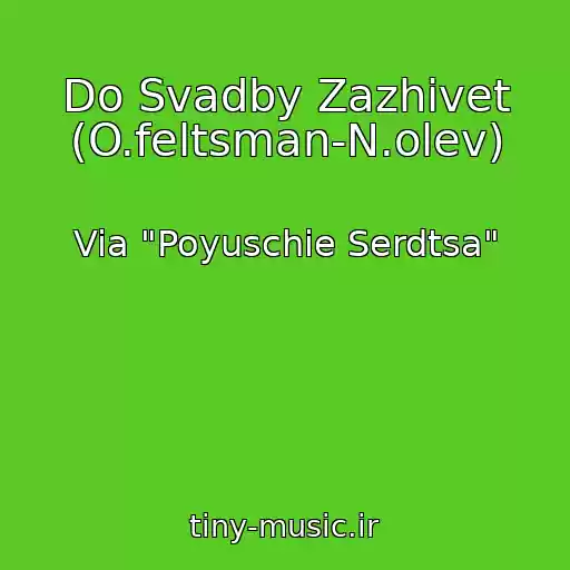 کاور آهنگ Do Svadby Zazhivet (O.feltsman-N.olev) از Via "Poyuschie Serdtsa"