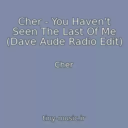 کاور آهنگ Cher - You Haven't Seen The Last Of Me (Dave Aude Radio Edit) از Cher