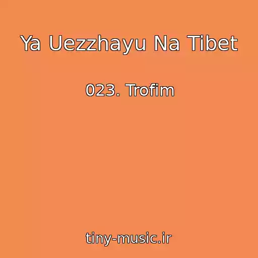 کاور آهنگ Ya Uezzhayu Na Tibet از 023. Trofim
