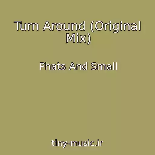 کاور آهنگ Turn Around (Original Mix) از Phats And Small