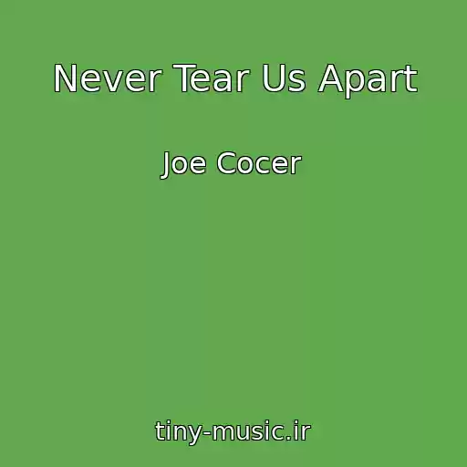 کاور آهنگ Never Tear Us Apart از Joe Cocer