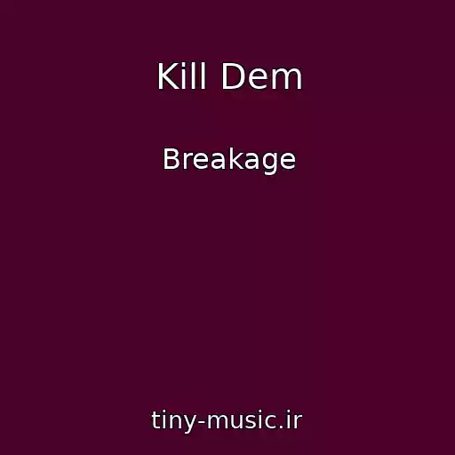 کاور آهنگ Kill Dem از Breakage
