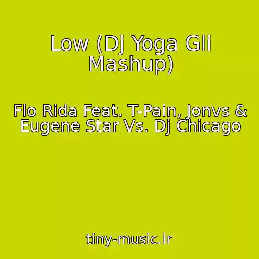 کاور آهنگ Low (Dj Yoga Gli Mashup) از Flo Rida Feat. T-Pain, Jonvs & Eugene Star Vs. Dj Chicago
