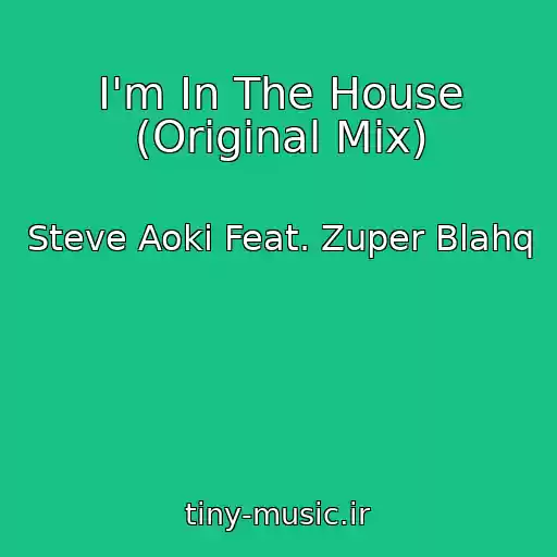 کاور آهنگ I'm In The House (Original Mix) از Steve Aoki Feat. Zuper Blahq