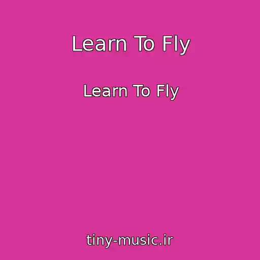 کاور آهنگ Learn To Fly از Learn To Fly