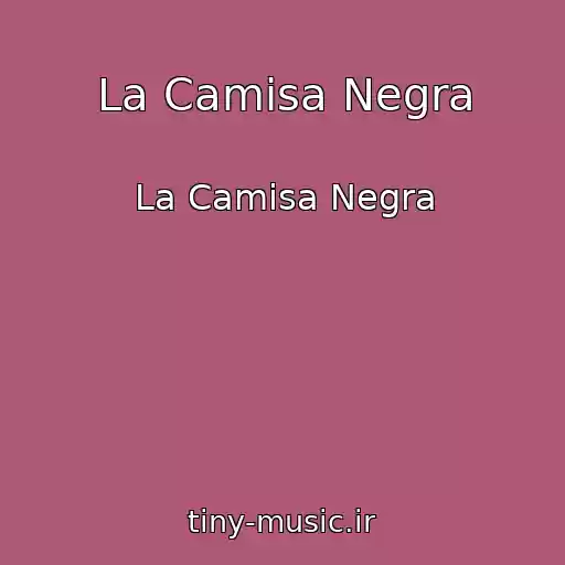 کاور آهنگ La Camisa Negra از La Camisa Negra