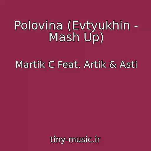 کاور آهنگ Polovina (Evtyukhin - Mash Up) از Martik C Feat. Artik & Asti