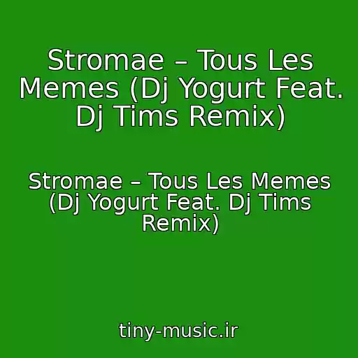 کاور آهنگ Stromae – Tous Les Memes (Dj Yogurt Feat. Dj Tims Remix) از Stromae – Tous Les Memes (Dj Yogurt Feat. Dj Tims Remix)
