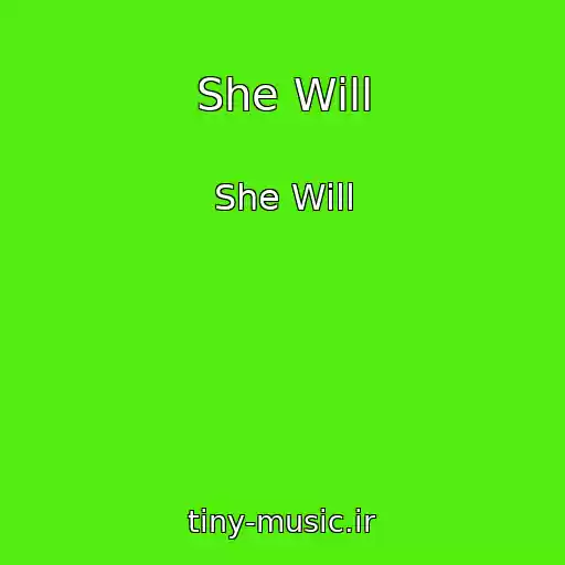 کاور آهنگ She Will از She Will