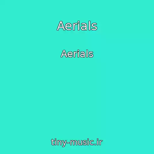 کاور آهنگ Aerials از Aerials