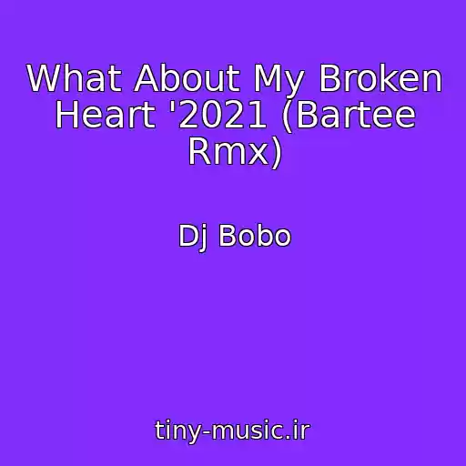 کاور آهنگ What About My Broken Heart '2021 (Bartee Rmx) از Dj Bobo