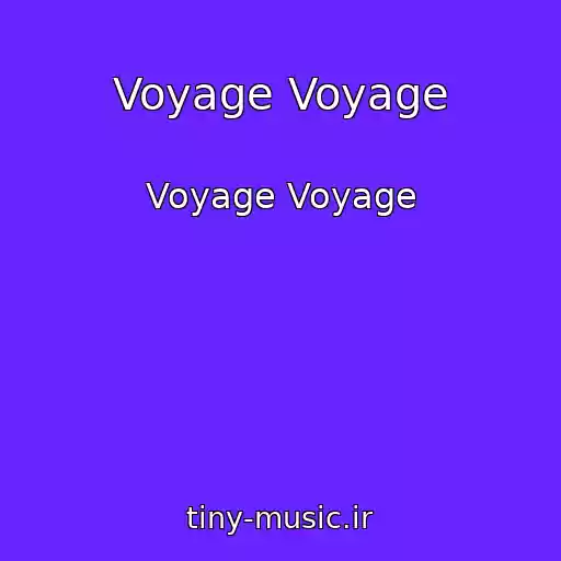 کاور آهنگ Voyage Voyage از Voyage Voyage