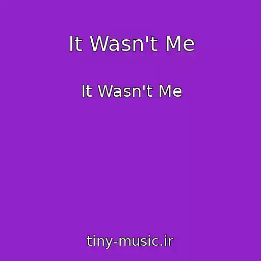 کاور آهنگ It Wasn't Me از It Wasn't Me