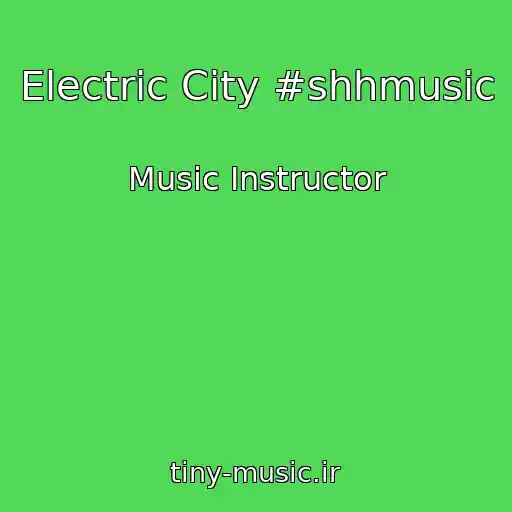 کاور آهنگ Electric City #shhmusic از Music Instructor