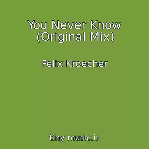 کاور آهنگ You Never Know (Original Mix) از Felix Kroecher