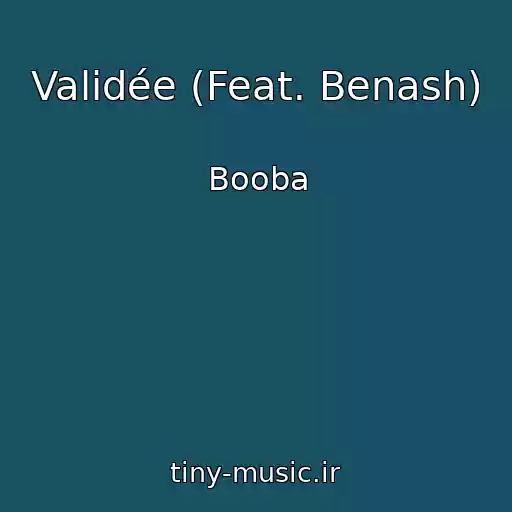 کاور آهنگ Validée (Feat. Benash) از Booba