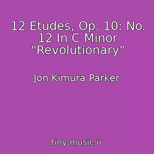 کاور آهنگ 12 Etudes, Op. 10: No. 12 In C Minor "Revolutionary" از Jon Kimura Parker