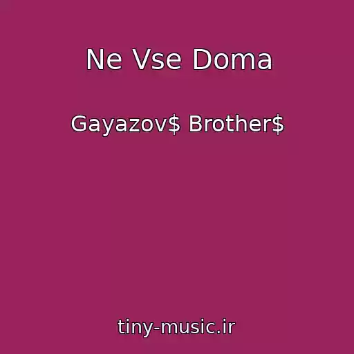 کاور آهنگ Ne Vse Doma از Gayazov$ Brother$