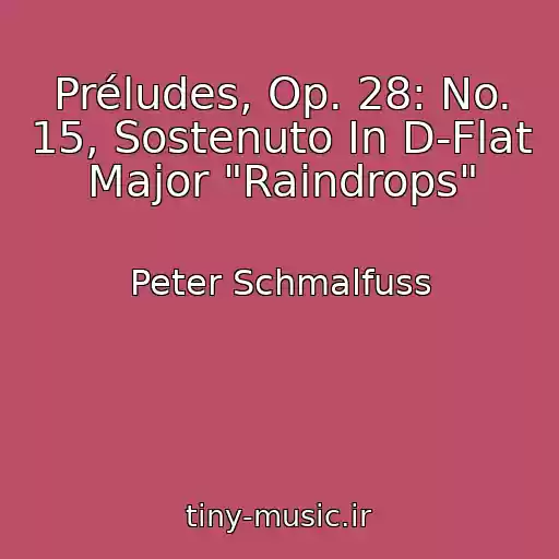 کاور آهنگ Préludes, Op. 28: No. 15, Sostenuto In D-Flat Major "Raindrops" از Peter Schmalfuss