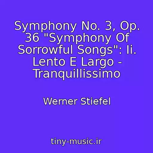 کاور آهنگ Symphony No. 3, Op. 36 "Symphony Of Sorrowful Songs": Ii. Lento E Largo - Tranquillissimo از Werner Stiefel