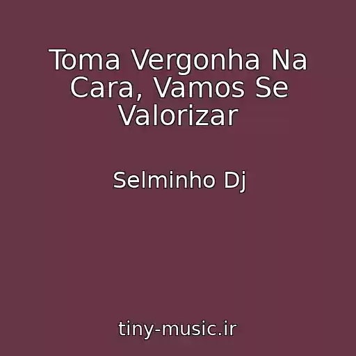 کاور آهنگ Toma Vergonha Na Cara, Vamos Se Valorizar از Selminho Dj