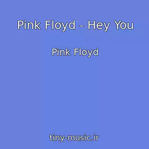 کاور آهنگ Pink Floyd - Hey You از Pink Floyd