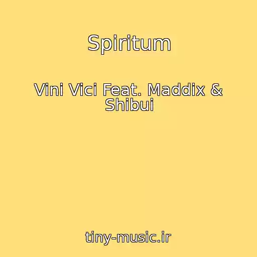 کاور آهنگ Spiritum از Vini Vici Feat. Maddix & Shibui