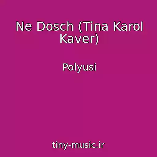 کاور آهنگ Ne Dosch (Tіna Karol Kaver) از Polyusi