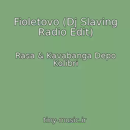 کاور آهنگ Fioletovo (Dj Slaving Radio Edit) از Rasa & Kavabanga Depo Kolibri