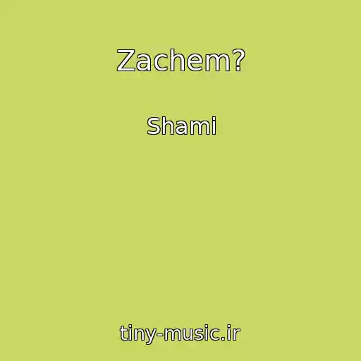 کاور آهنگ Zachem? از Shami