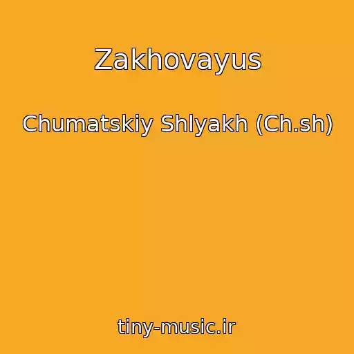 کاور آهنگ Zakhovayus از Chumatskiy Shlyakh (Ch.sh)