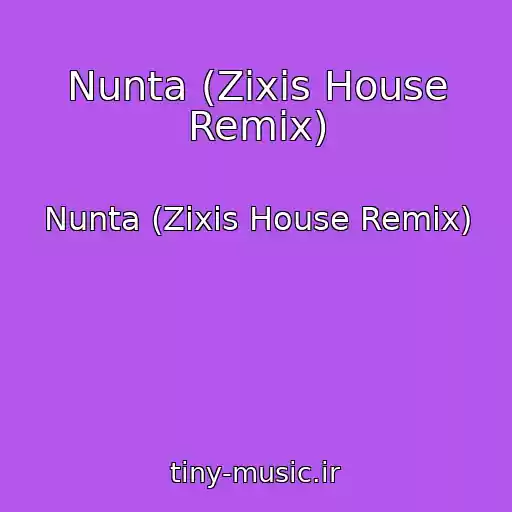کاور آهنگ Nunta (Zixis House Remix) از Nunta (Zixis House Remix)