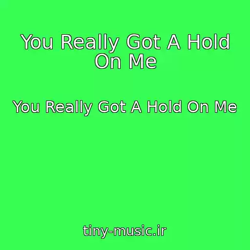 کاور آهنگ You Really Got A Hold On Me از You Really Got A Hold On Me
