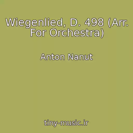 کاور آهنگ Wiegenlied, D. 498 (Arr. For Orchestra) از Anton Nanut