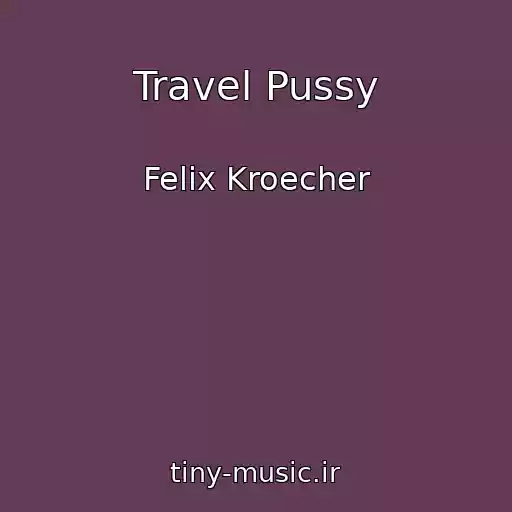 کاور آهنگ Travel Pussy از Felix Kroecher