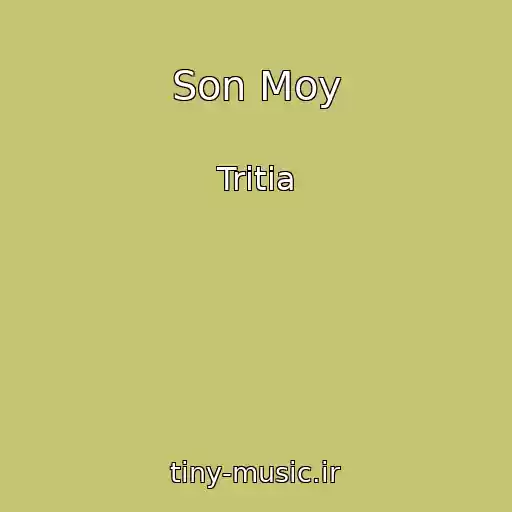 کاور آهنگ Son Moy از Tritia