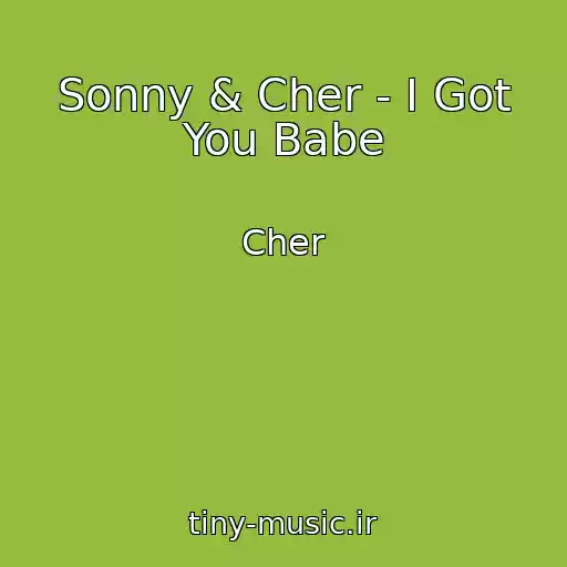 کاور آهنگ Sonny & Cher - I Got You Babe از Cher