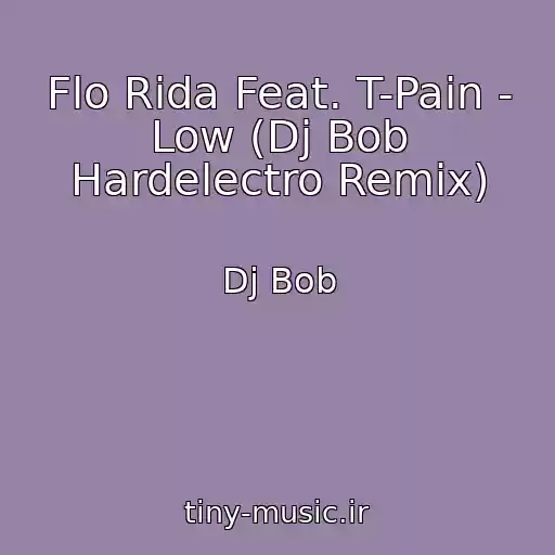 کاور آهنگ Flo Rida Feat. T-Pain - Low (Dj Bob Hardelectro Remix) از Dj Bob