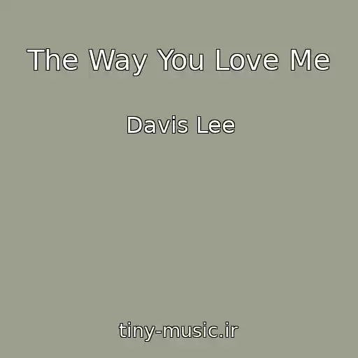 کاور آهنگ The Way You Love Me از Davis Lee