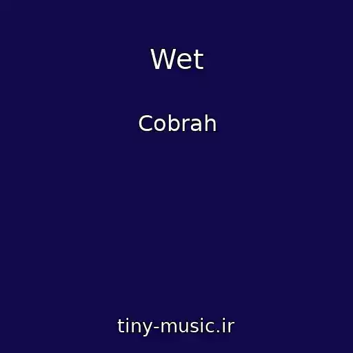 کاور آهنگ Wet از Cobrah