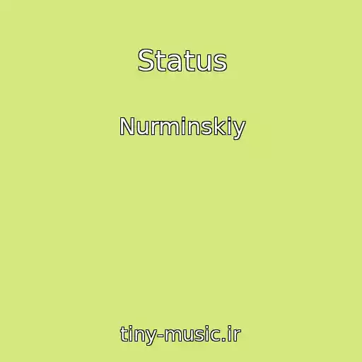 کاور آهنگ Status از Nurminskiy