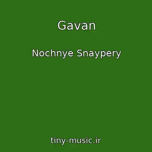 کاور آهنگ Gavan از Nochnye Snaypery