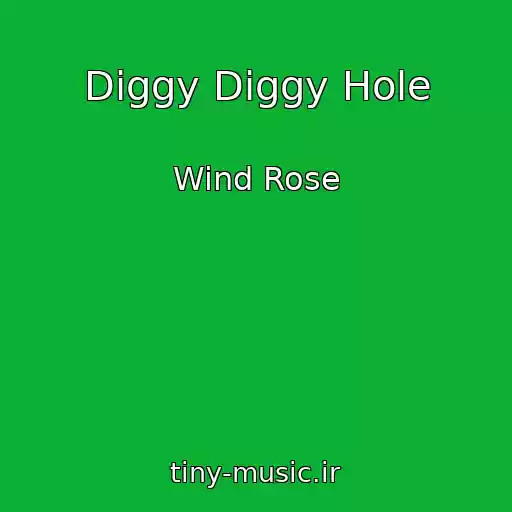کاور آهنگ Diggy Diggy Hole از Wind Rose